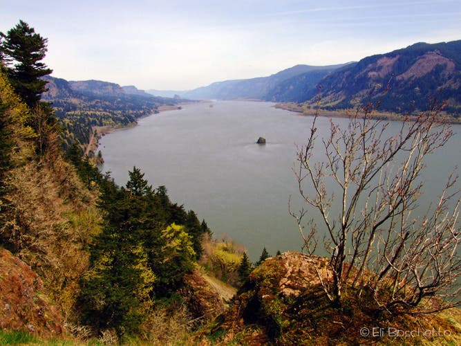 Columbia Gorge None