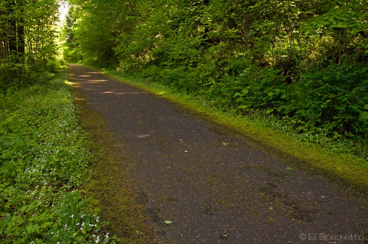 Columbia Highway None