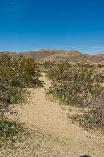 Confusing trail None