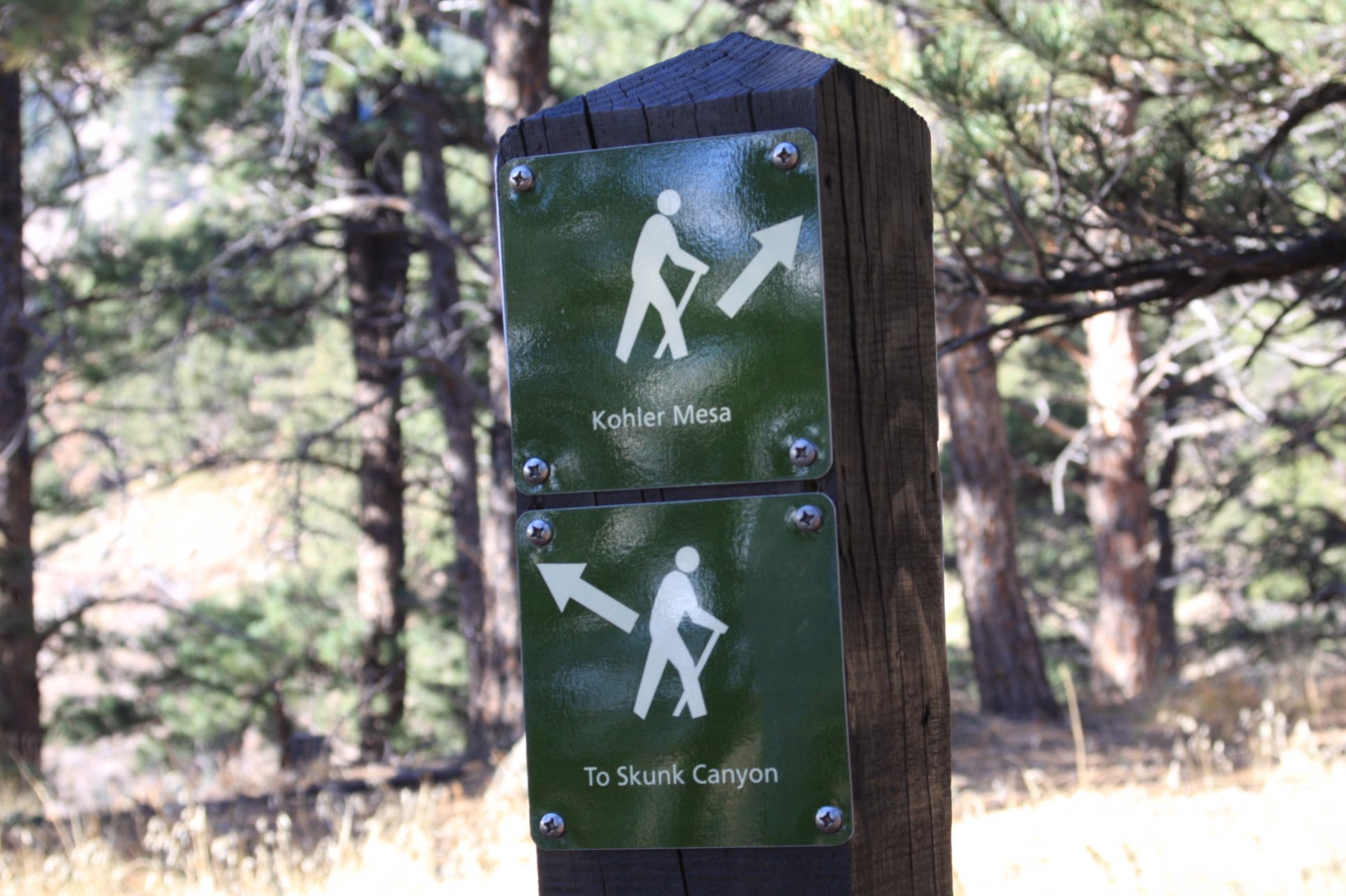 Connector Trail None