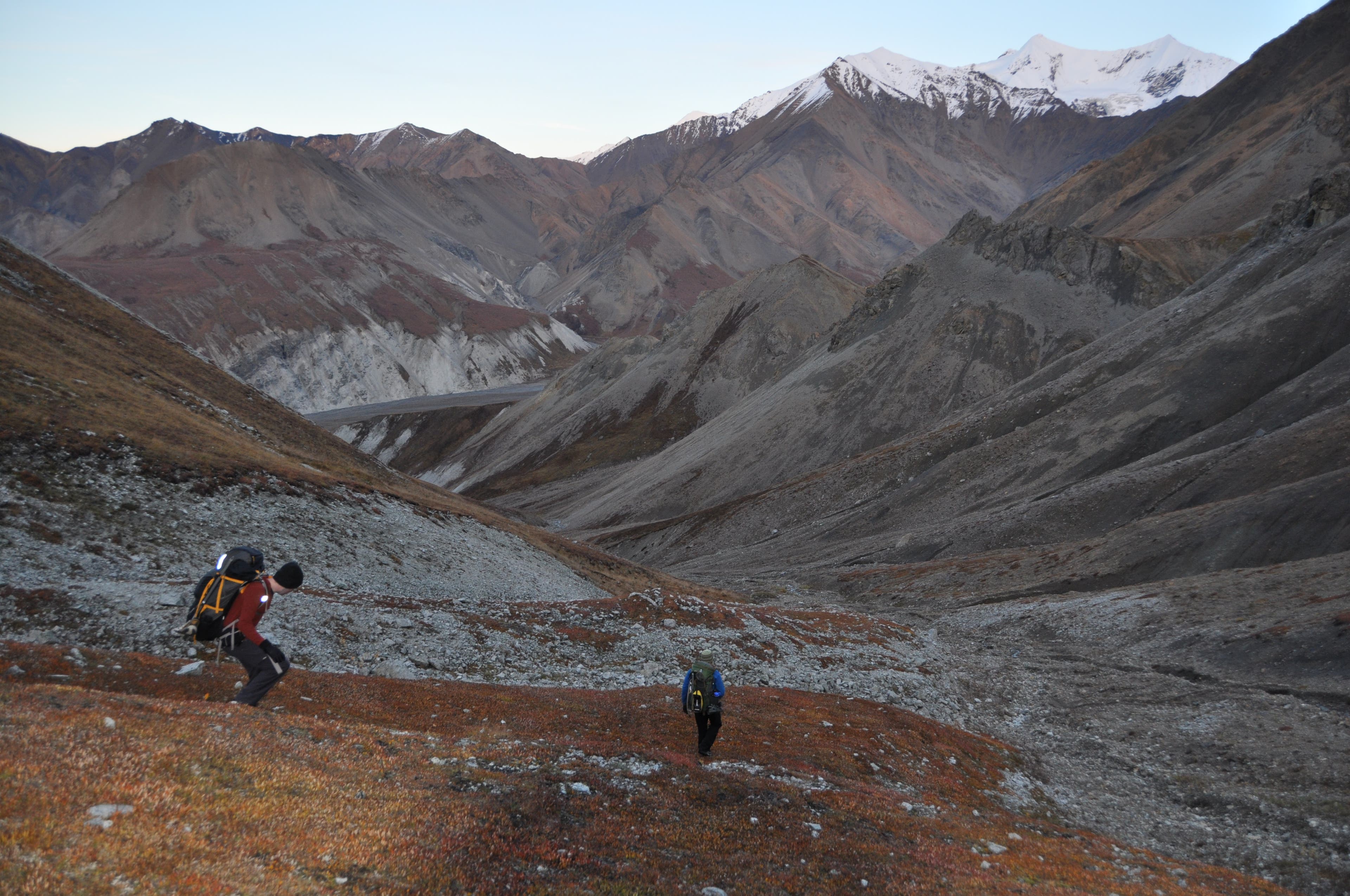 Contact Descent None