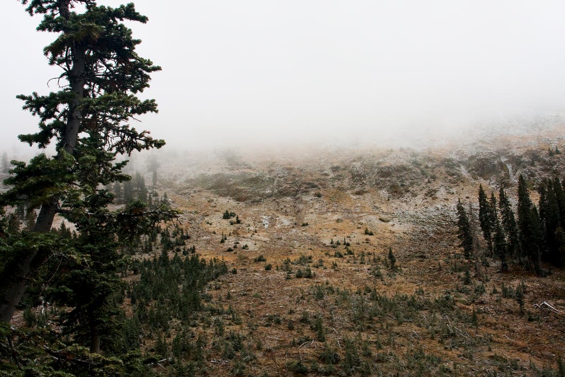 Continental Divide None