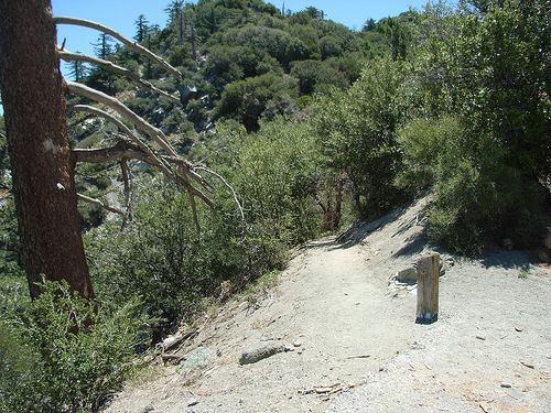 Continue on the path toward San Gabriel Peak None