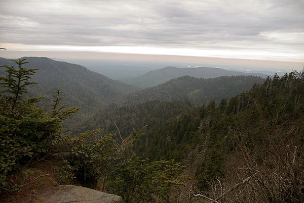 Copper Gap View None