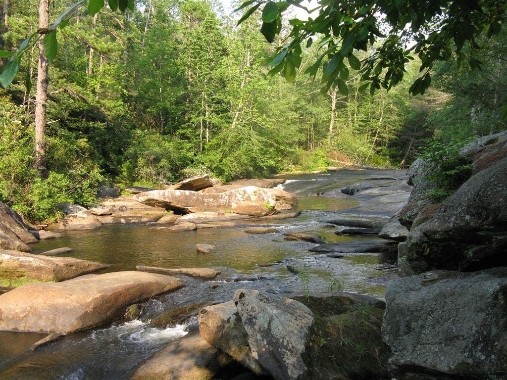 Corn Mill Shoals None