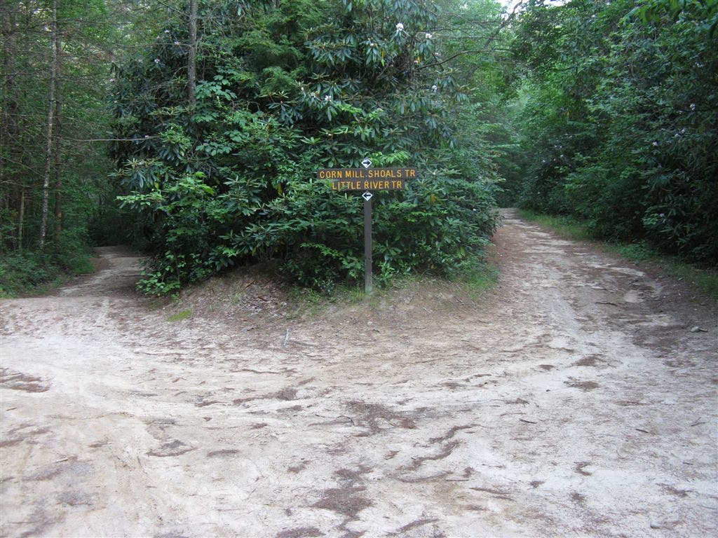 Corn Mill Shoals Junction None