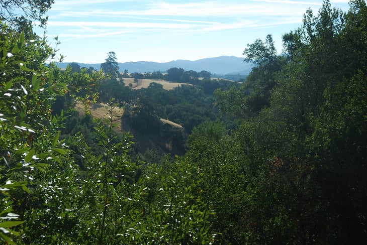 Corral Trail None