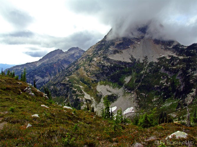 Corteo Peak None