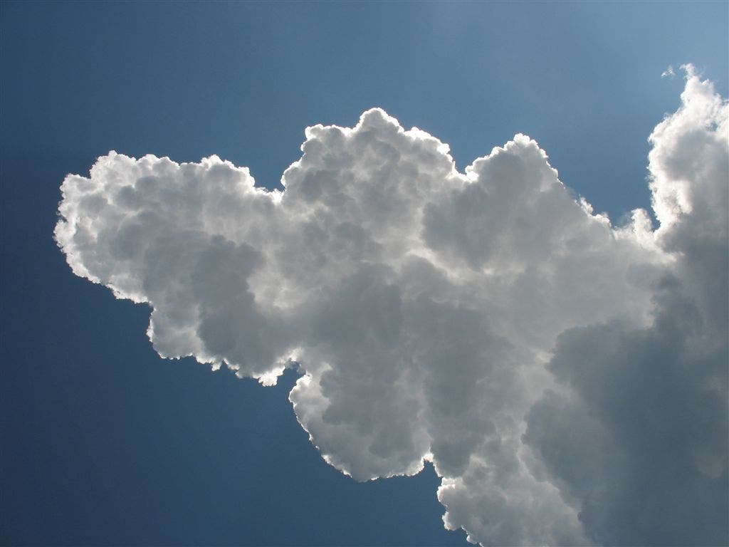 Cotton-ball cumulus None