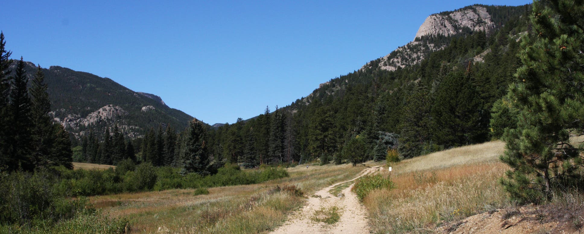 Cow Creek Trail None