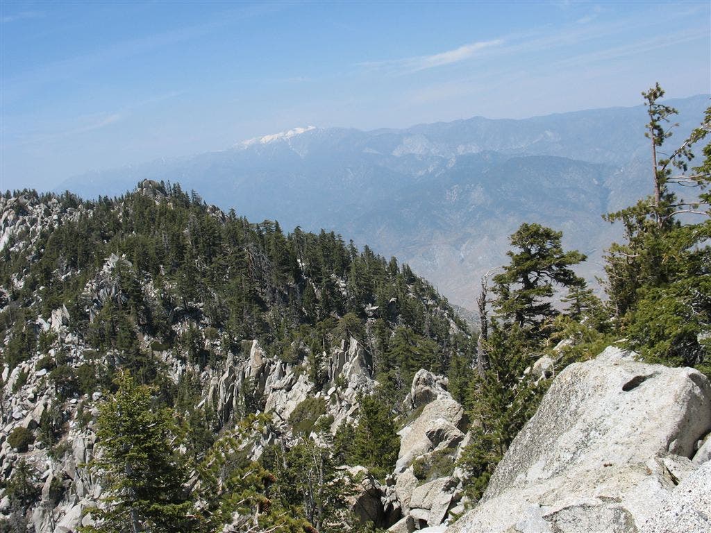 Crags and pines None