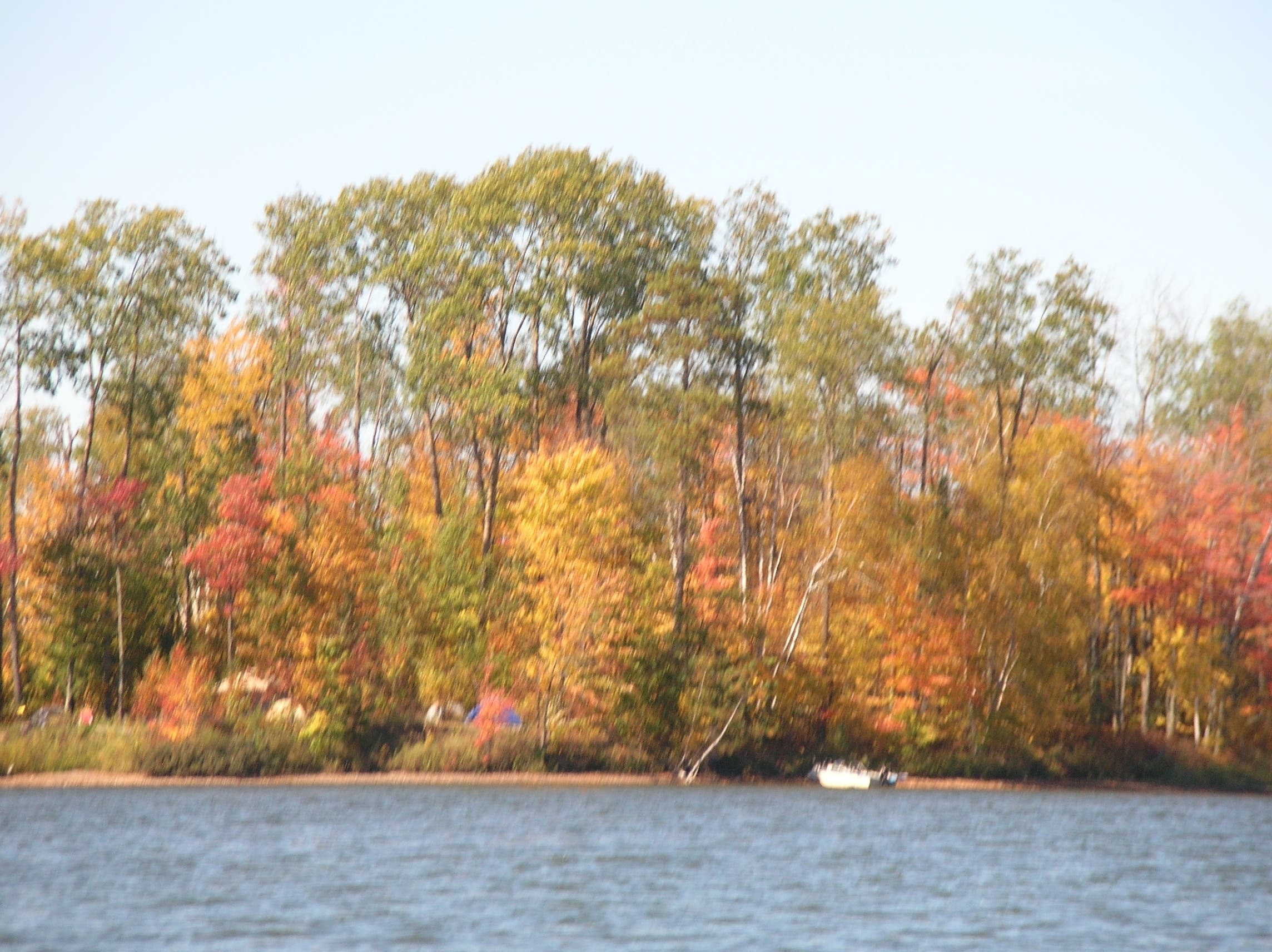 Crane Creek Island None