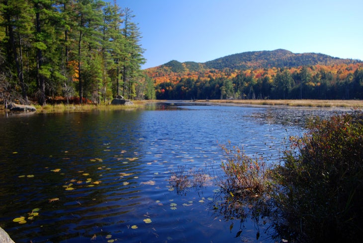 Adirondack Park: Pharaoh Mountain