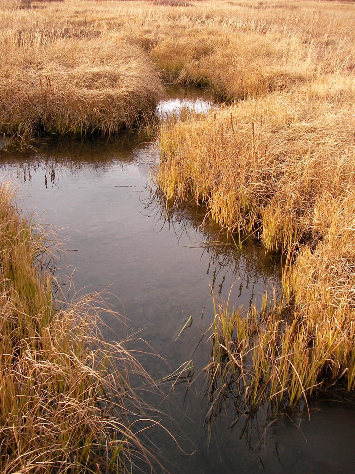 Creek None