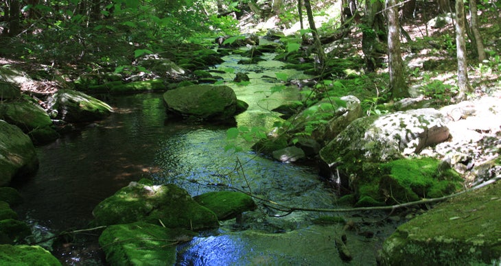Creek None