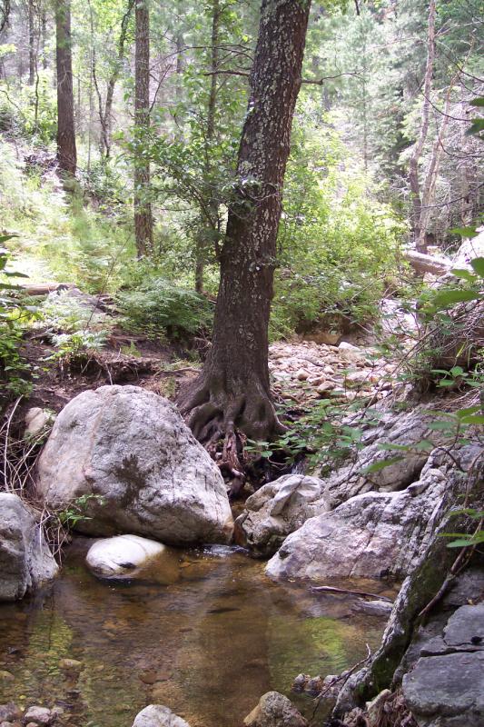 Creek None
