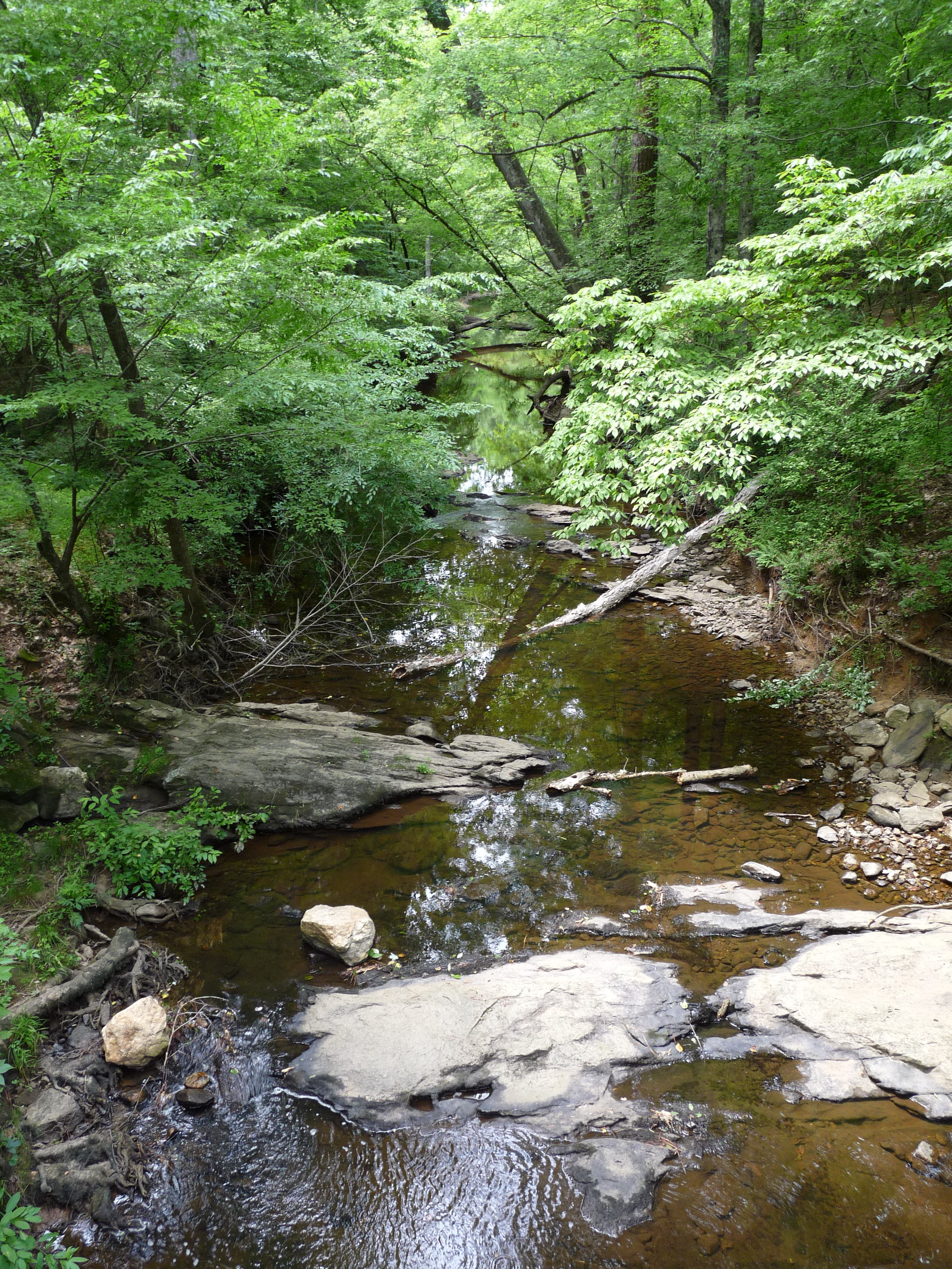 Creek at the junction None