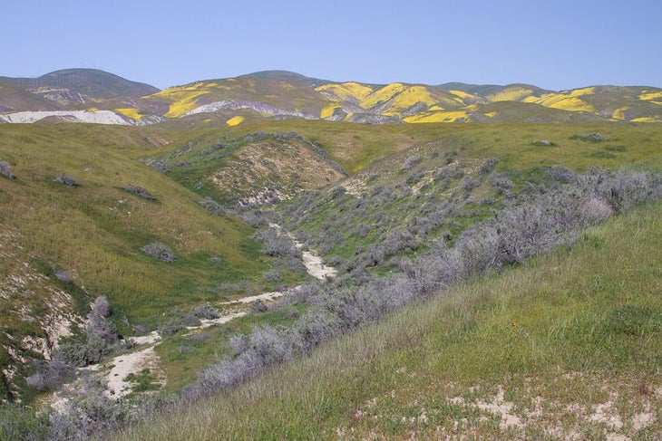 Creek Bend None