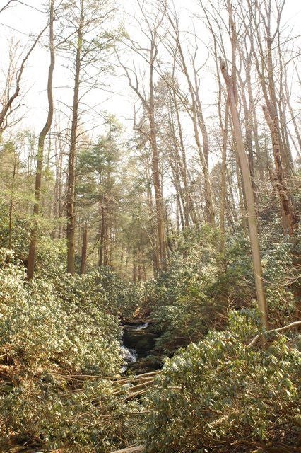 Creek Crossing None