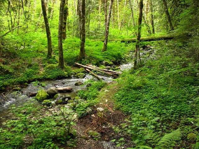 Creek Crossing None