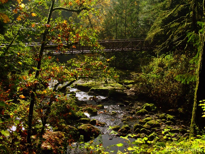 Creek Crossing None