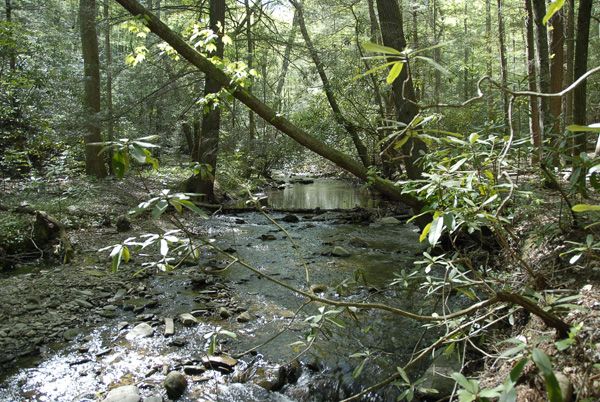 Creek View None