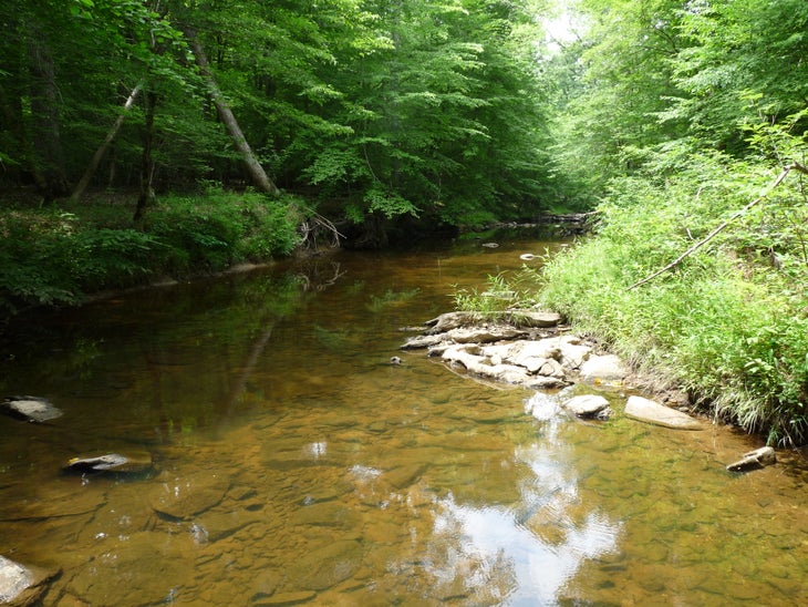 Creek view None