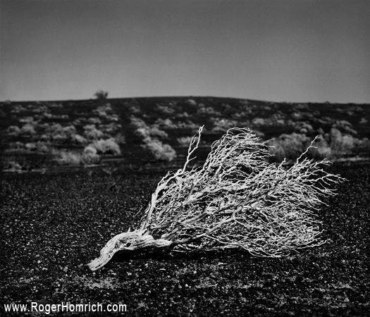 Creosote racetrack valley road
