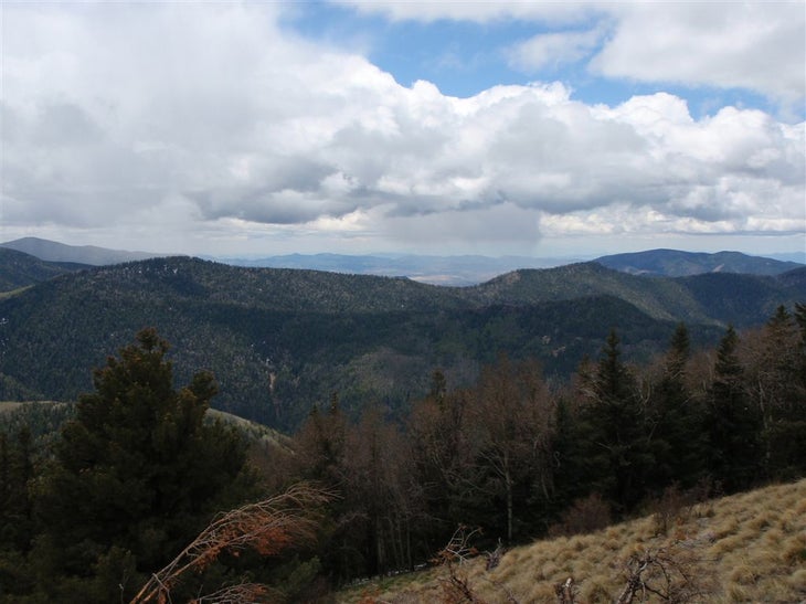 Crest Views None