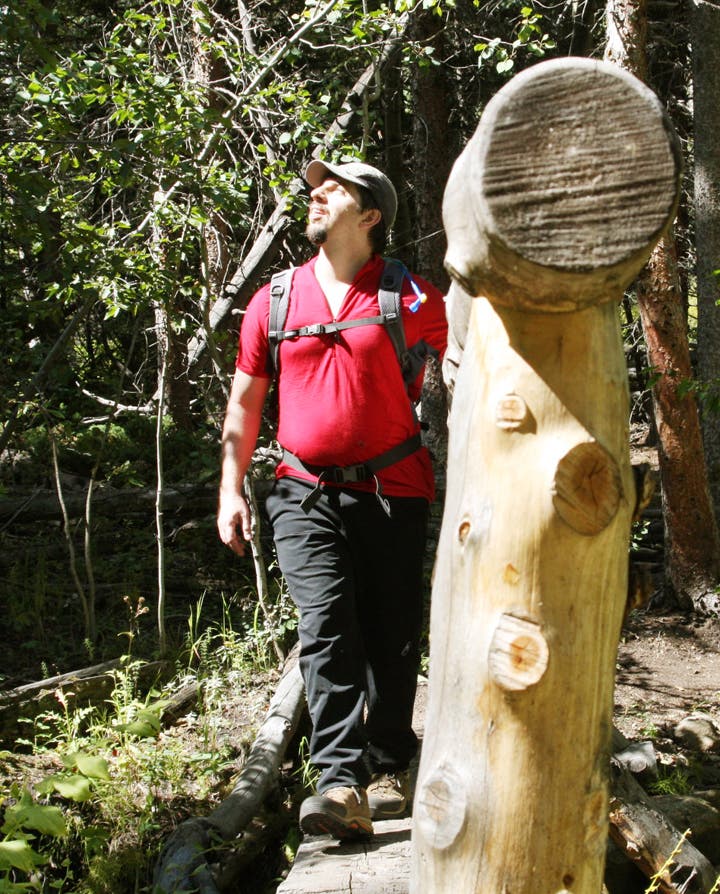 Cross the split log bridge None