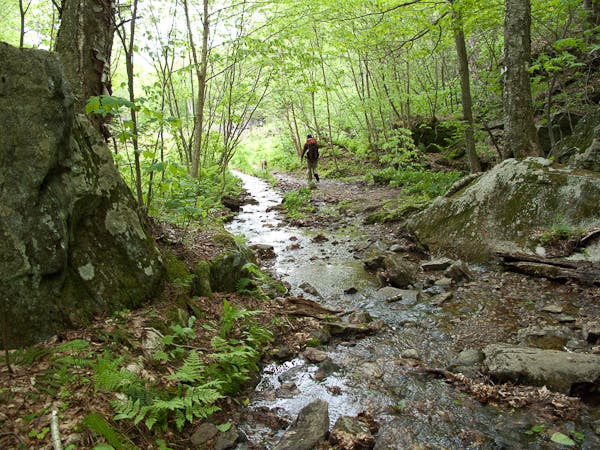 Crossing Clay Brook None