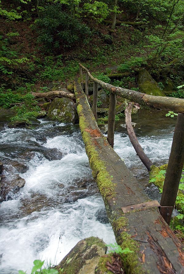 Crossing Enloe Creek None