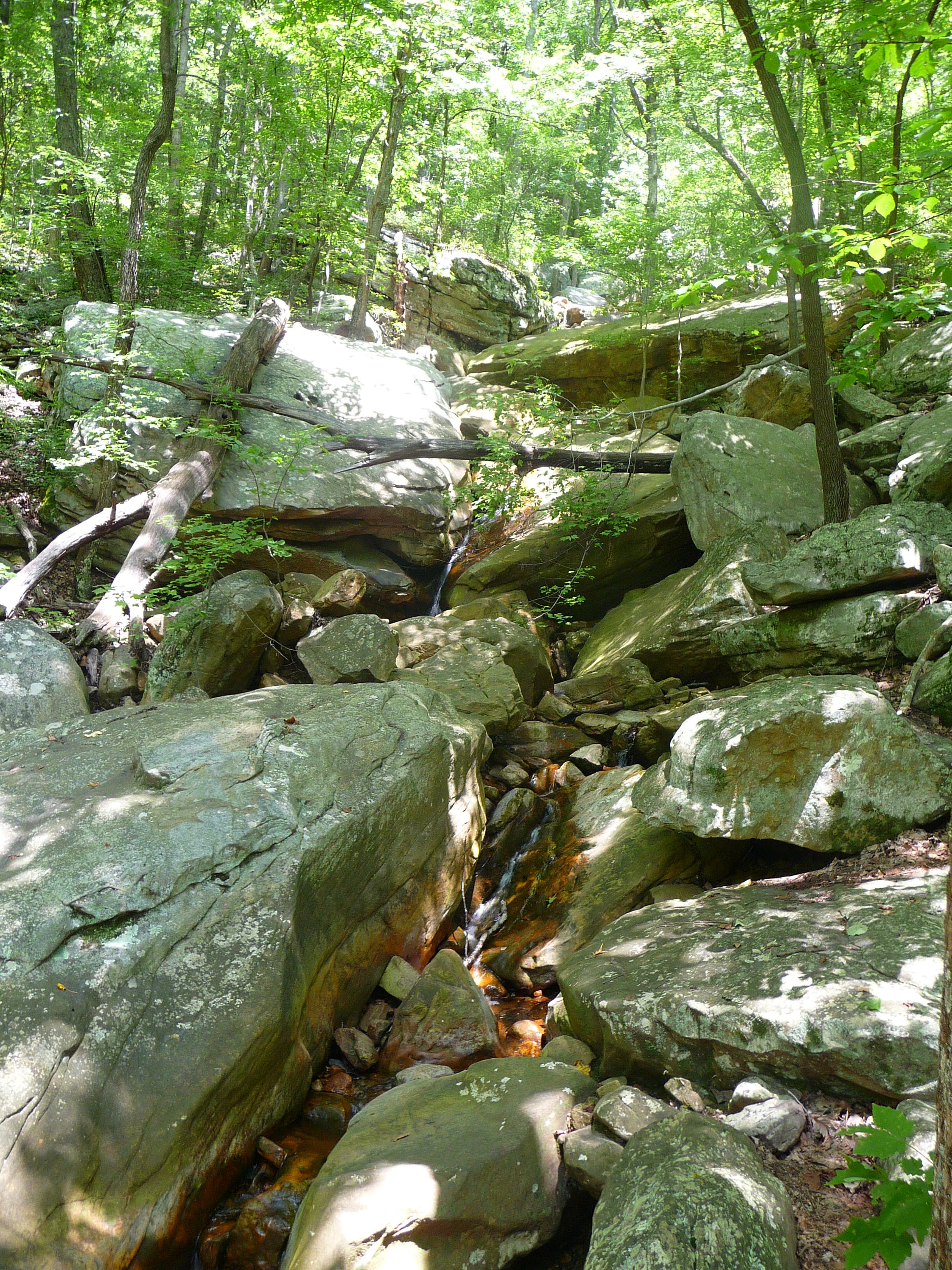 Crossing Hogskin Branch None