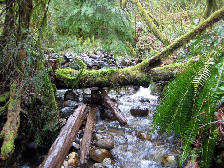 Crossing Phil's Creek None