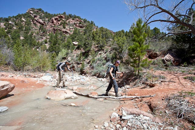 Crossing Taylor Creek again None