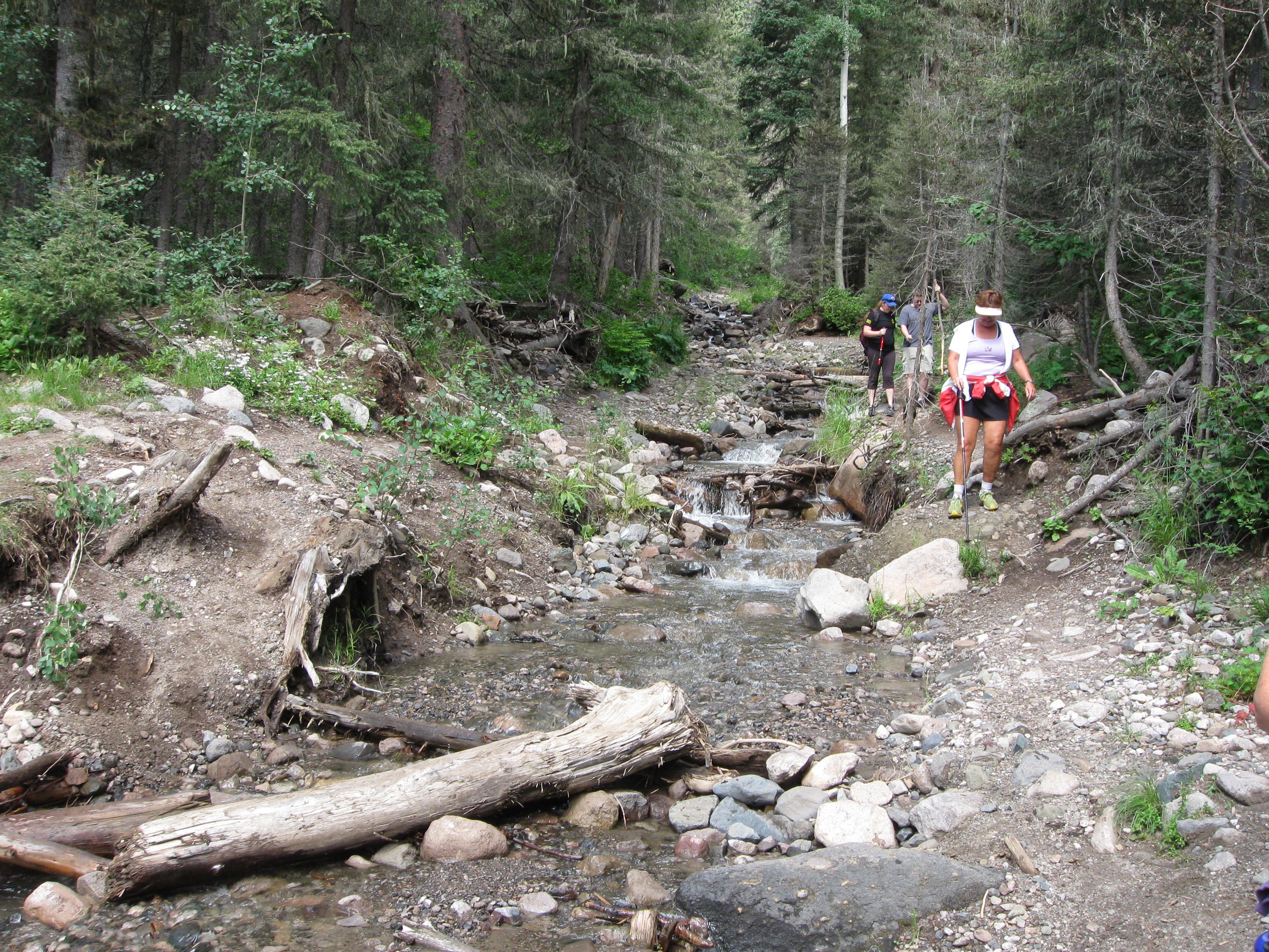 Crossing the creek None