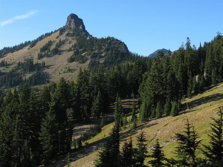 Crumbly peak None