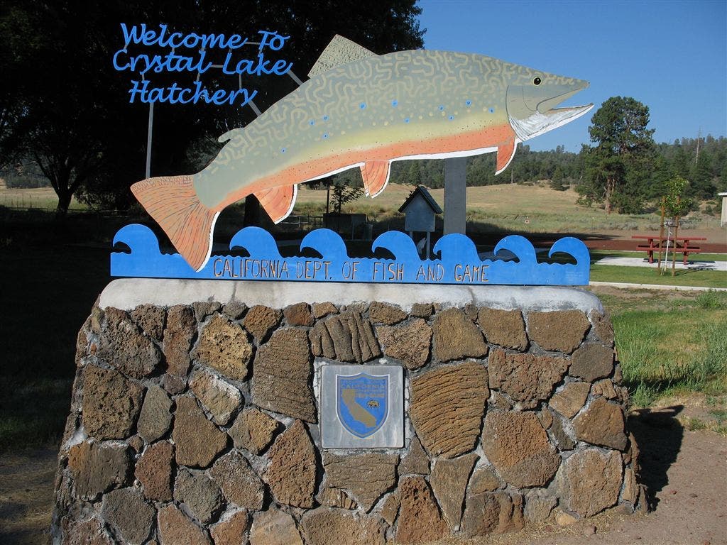 Crystal Lake Fish Hatchery Sign None