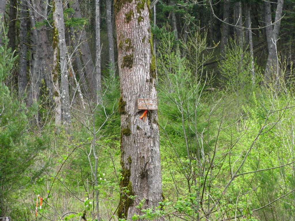 Cutoff Trail sign None