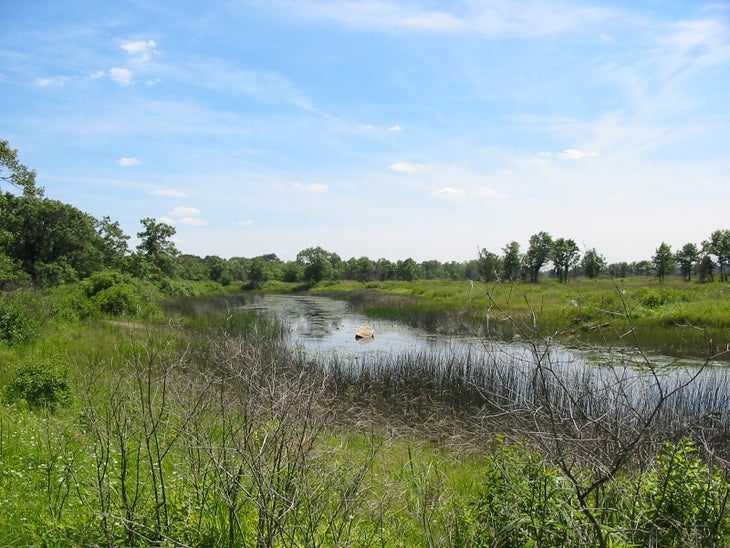 Dead River None