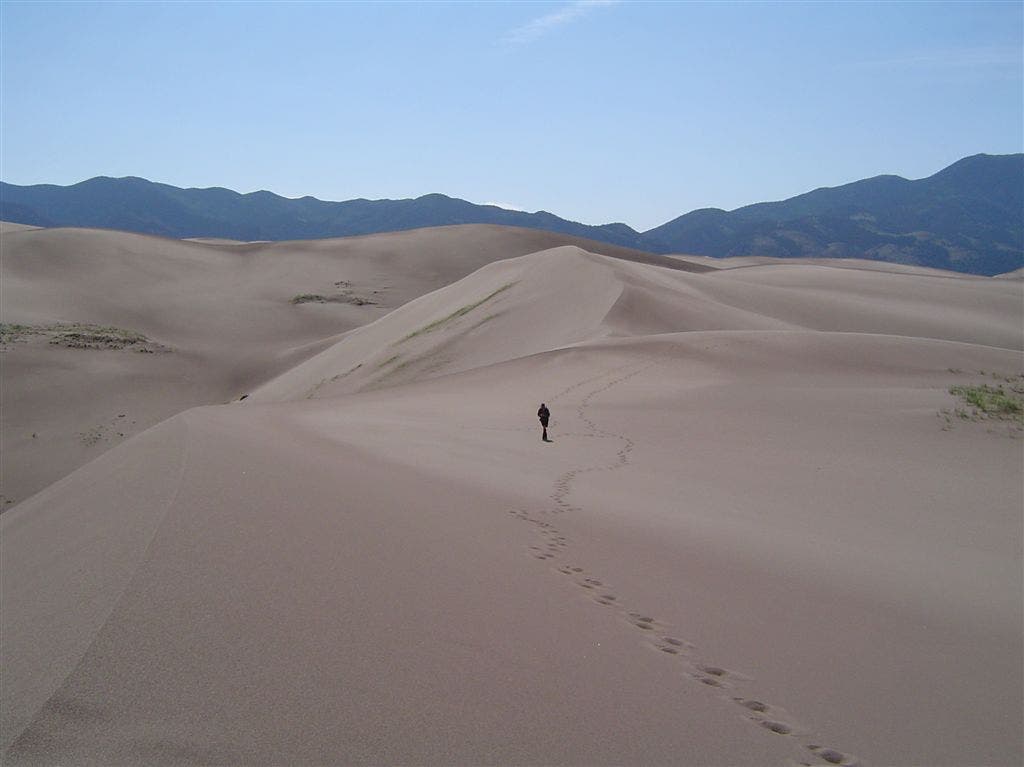 Deep in the dunefield None