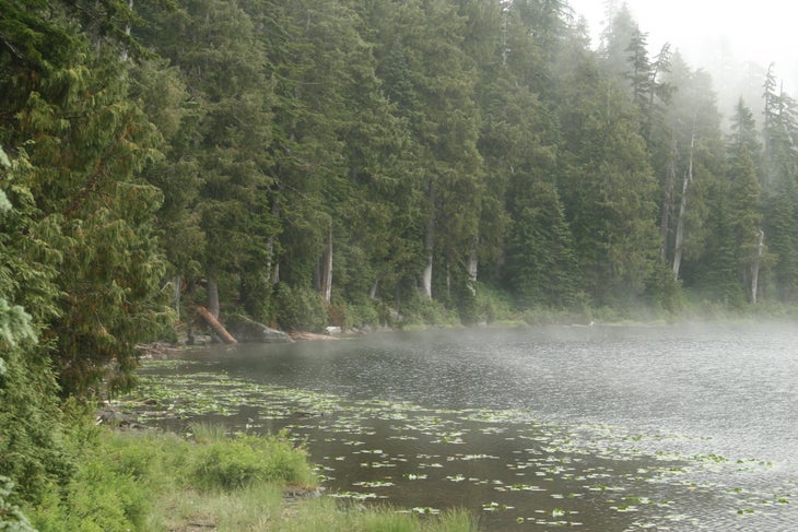 Deer Lake None