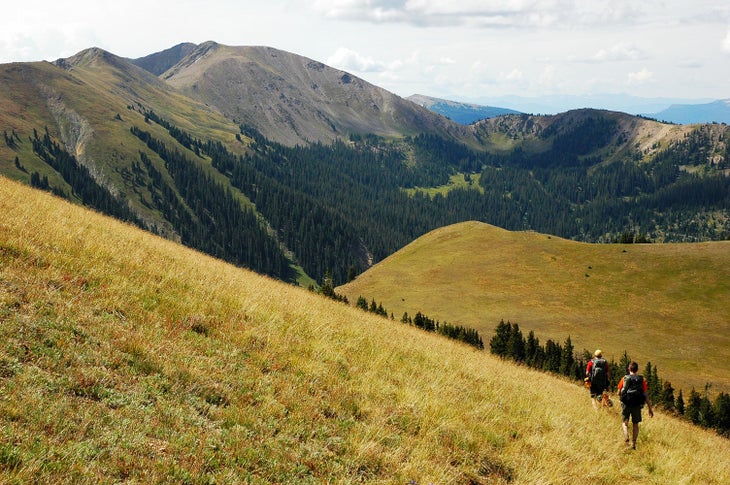 Descending Fairview Mountain None