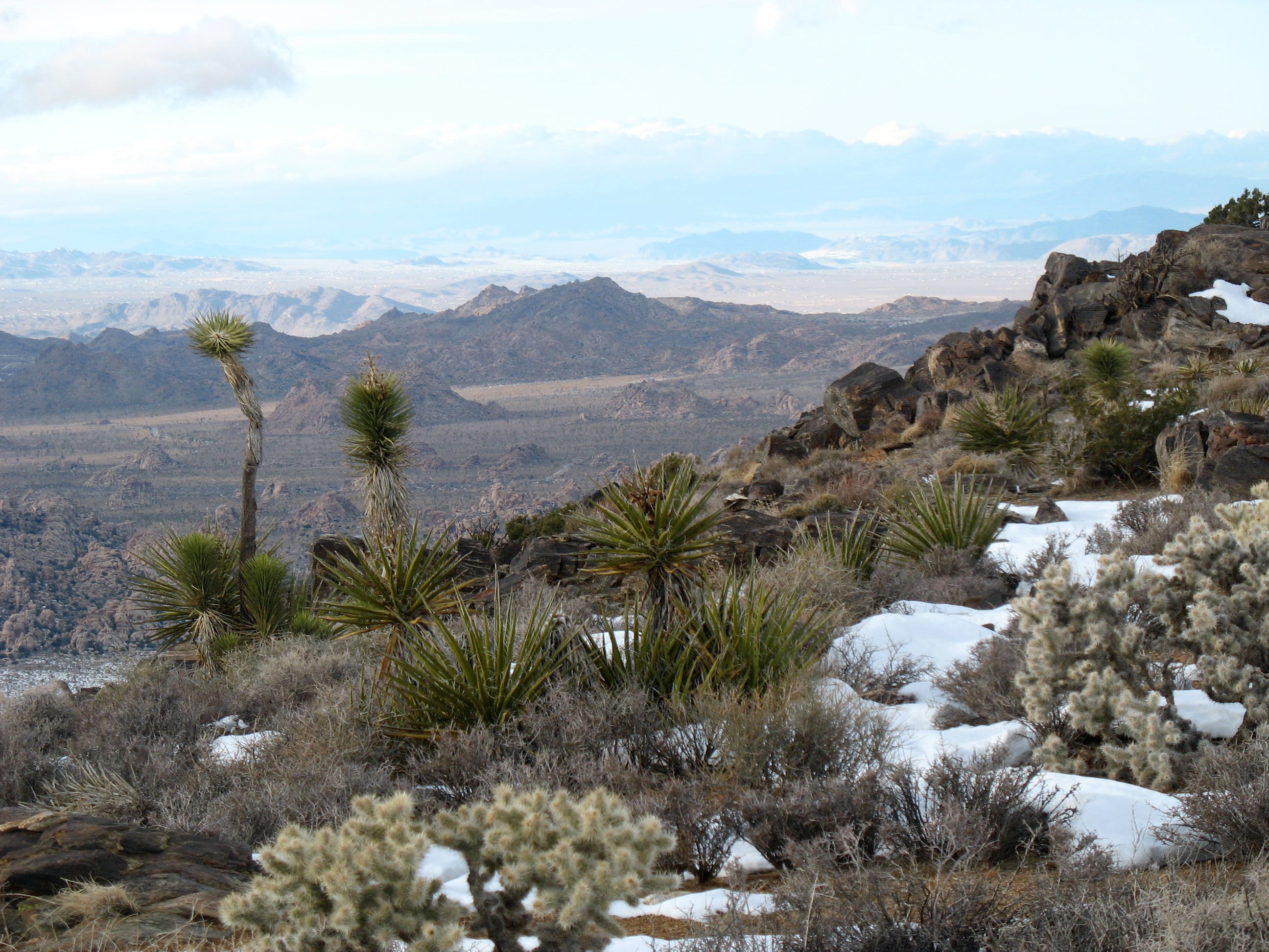 Descending from the Summit None