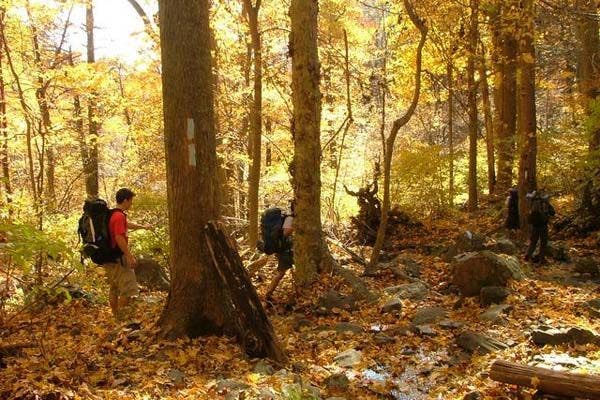 Descending into Little Devils Stairs None