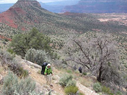 Descending switchbacks on Bill Hall Trail toward Esplanade None