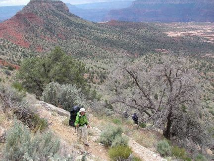 Descending switchbacks on Bill Hall Trail toward Esplanade None