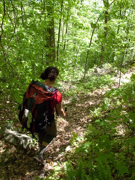 Descending to Patch Hollow None