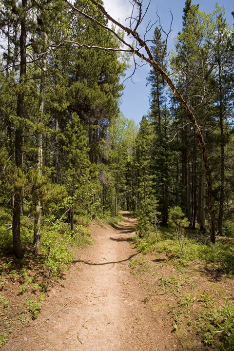 Descending Trail None