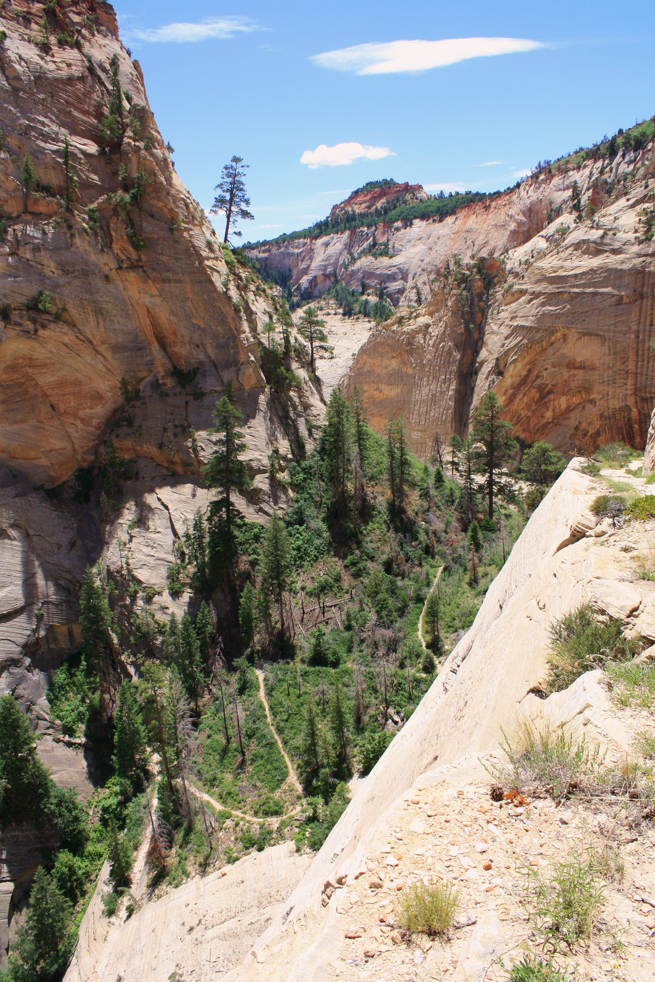 Descent Down Cliff Edge None